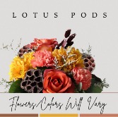 Lotus Pod Arrangement 