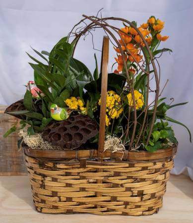 Lotus Pod Plant Basket