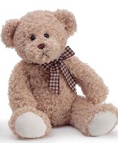 Lovable Plush Brown Bear Gift Keepsake