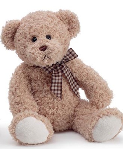 Lovable Plush Brown Bear Gift Keepsake