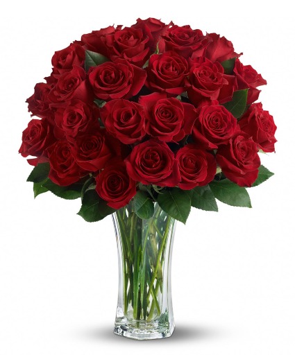 Love and Devotion Red Roses Fresh Cut Flowers