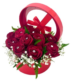 LOVE AND LUXURY BOXED ROSES - RED 