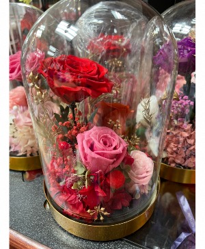 Acrylic Heart Shaped Rose Box Real Roses box in Dearborn, MI - LAMA'S  FLORIST