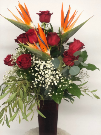 LOVE BIRDS. LOCAL DELIVERY ONLY