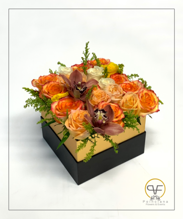 Love Box