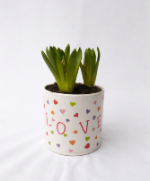 Love Bulb Garden Planter 