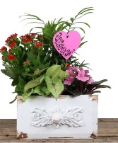 "Love Drawer" Planter Plant