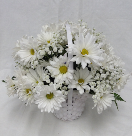 Love In A Basket