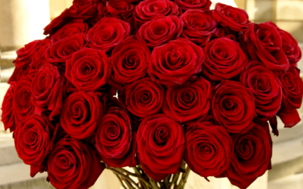 HOW BIG IS YOUR LOVE? From 1 dozen to 5 dozen red roses