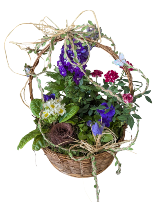 Love In Bloom A collection of blooming plants in garden basket