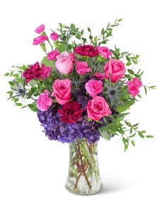 Category Image