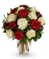 Love is Divine Red And White Roses
