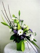 Love is Green Vogue Lily Arrangment