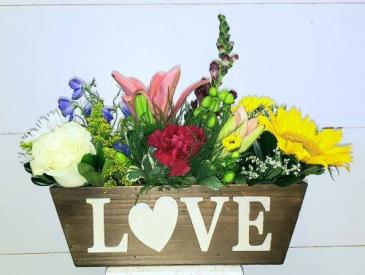 Love is in the Air