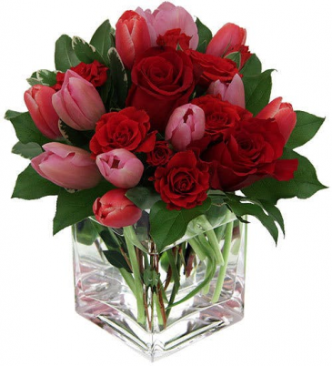 Love is in the air! Low square delightful!