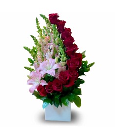 Category Image