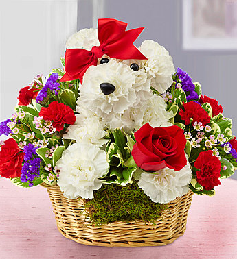 Love Pup™  in Valley City, OH | HILL HAVEN FLORIST & GREENHOUSE