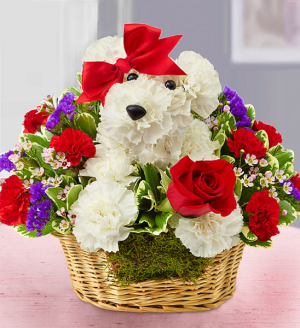 Love Pup in Sunrise, FL | FLORIST24HRS.COM Love Pup in Sunrise, FL | FLORIST24HRS.COM