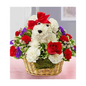 Love Pup™ in Brooklyn, NY | FLORAL FANTASY Love Pup™ in Brooklyn, NY | FLORAL FANTASY