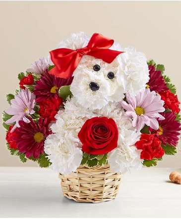 Love Pup  in Hagerstown, MD | TG Designs - The Flower Senders