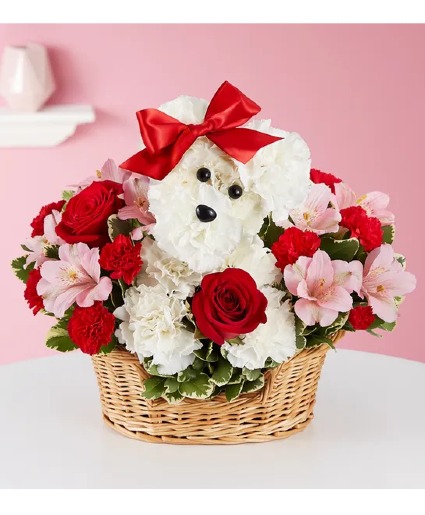 Love Pup assorted flowers