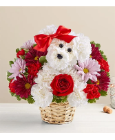 Love Pup Floral Arrangement in Easley, South Carolina | Xochitl Flower Shop