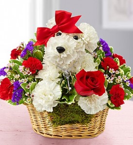 Love Pup FLOWER DOG