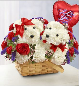 LOVE PUPPIES w/ Valentine mylar