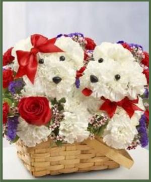 Love Pups Your Choice of Color in Arlington, TX | Erinn's Creations Florist Love Pups Your Choice of Color in Arlington, TX | Erinn's Creations Florist