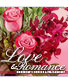 Love & Romance Designer's Choice