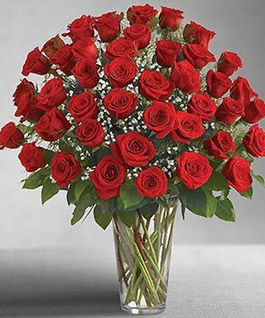Love Struck 48 Roses