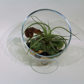 Love You to the Moon and Back Planter