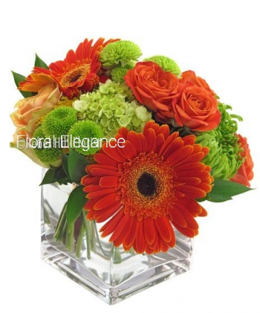 Orange blossom delight Fresh flowers