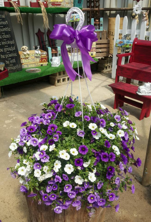 Lovely Cali Basket Hanging Basket