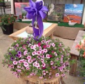 Lovely Cali Basket Hanging Basket