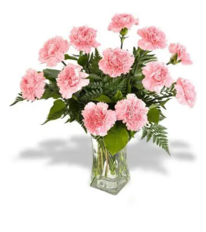Lovely Carnations  