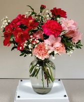 Lovely Carnations  Carnation 
