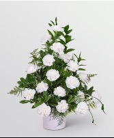Lovely Carnations Funeral arrangement