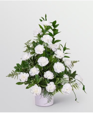 Lovely Carnations Funeral arrangement