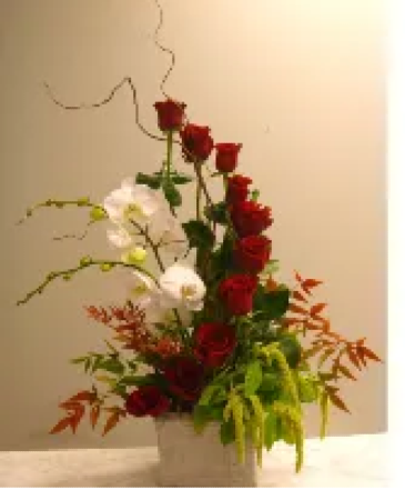 Lovely Day Christmas in Dunnellon, FL | Blue Creek Florist