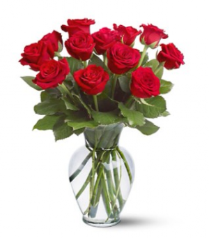 Lovely Dozen Arrangement in Mansfield, OH | JANET'S FLORAL DESIGN Lovely Dozen Arrangement in Mansfield, OH | JANET'S FLORAL DESIGN