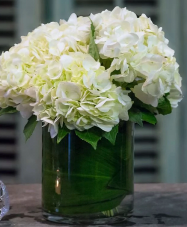 Lovely Hydrangea’s Vase