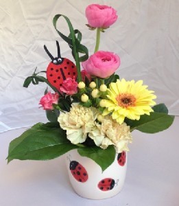 Lovely Ladybug Mother's Day