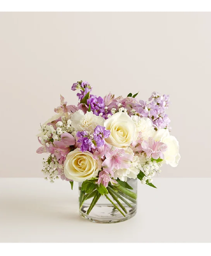 Lovely Lavender