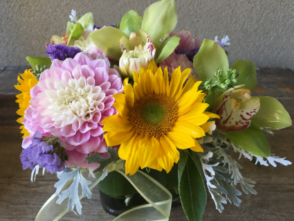 Sunshine and Dahlias
