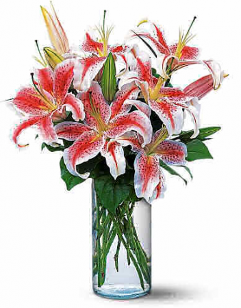 LOVELY LILLIES 