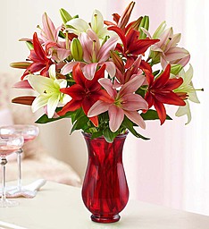 lovely lillies lilies