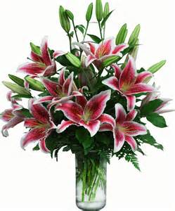Lovely Lilly Bouquet Stargazer Lily Bouquet