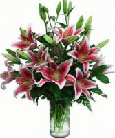 Lovely Lily Bouquet Stargazer Lily Bouquet