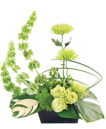 Lovely Lime Floral Arrangement in Comanche, OK | Petals Flowers & Gifts